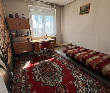 Kiadó régi típusú panel lakás - Szombathely - Fotó 6