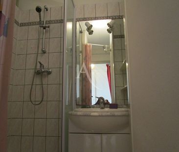 Location Appartement 1 pièce 30m² - Photo 5