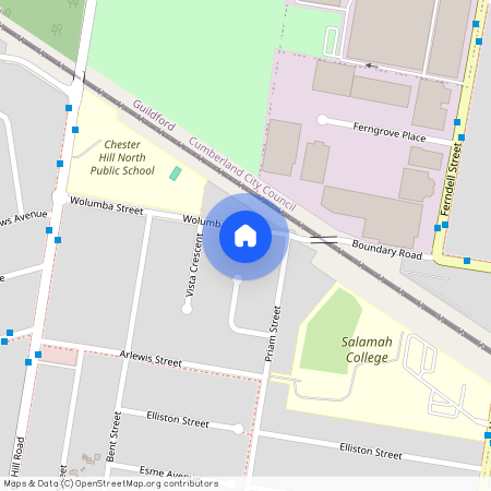 3 Wolumba Street, Chester Hill 2162, New South Wales