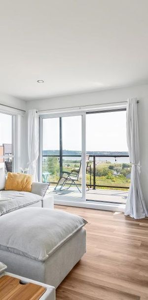 ANIMAUX ACCEPTÉS, Grand 51/2 vue partielle sur le fleuve - Photo 1