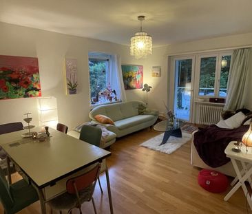 APPARTEMENT 41/2 PIÈCES À ZURICH - DISTRICT 11 ALLENMOOS, MEUBLÉ, T... - Photo 3