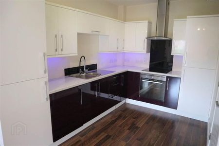 Apt 1, 223a Belmont Road, Belfast, BT4 2AH - Photo 5