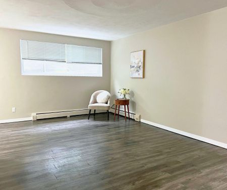 Erb Court Apartments - ALL INCLUSIVE - Photo 3