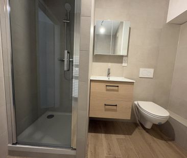 Location Appartement 1 pièce 25m² ST LOUIS 68300 - Photo 2