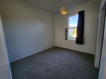 Mount Cook 3 Bedroom Downstairs Flat - Photo 4