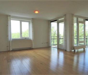 Walter Kollolaan - Photo 3