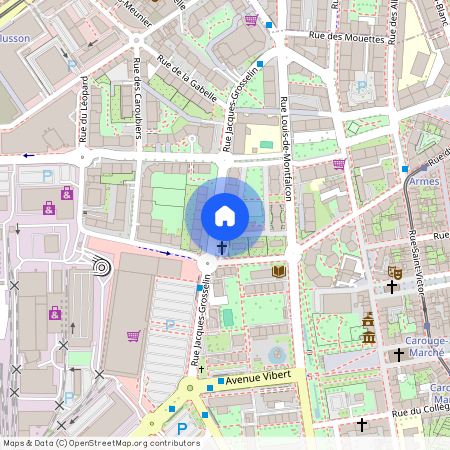 9, rue Jacques- Grosselin, 1227 Carouge