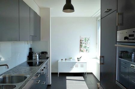 41/2 ZI-WOHNUNG IN ZÜRICH – KREIS 9 ALBISRIEDEN, FURNISHED, TEMPORARY - Photo 3