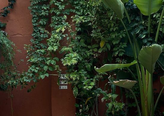 29 C/ de Georges Bernanos, Palma de Mallorca, Balearic Islands 07015