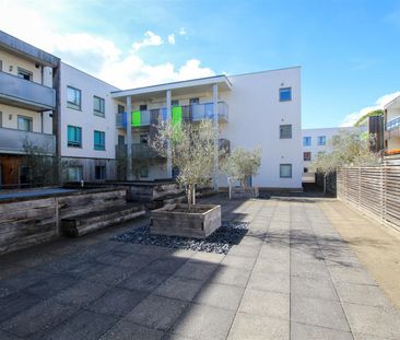 Glenalmond Avenue, Cambridge - Photo 6