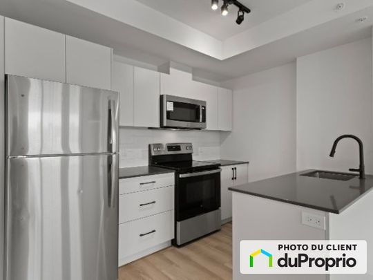 124-1133, av. Viger E, Ville-Marie (Centre-Ville et Vieux-Montréal) à louer - Photo 1
