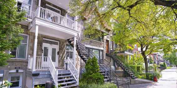 4 1/2 Main/RdC + Balcon/y (Parc Lafontaine) - 1882-1886 Sherbrooke East, Montréal - Photo 3