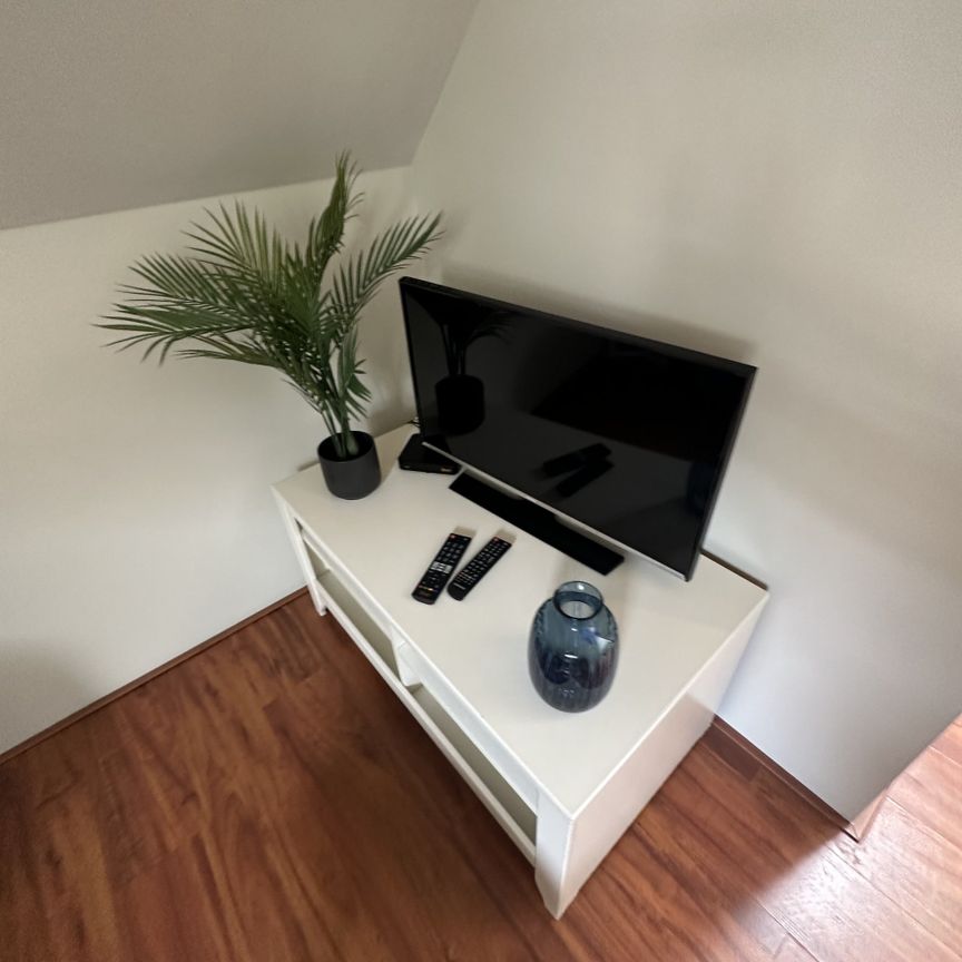 Te huur: Appartement Waterloostraat in Rotterdam - Foto 1