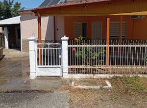 Μονοκατοικία για ενοικίαση - Μελίκη, - Φωτογραφία 4
