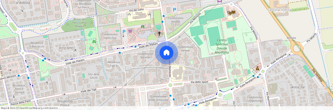 Arese, Via G. Matteotti