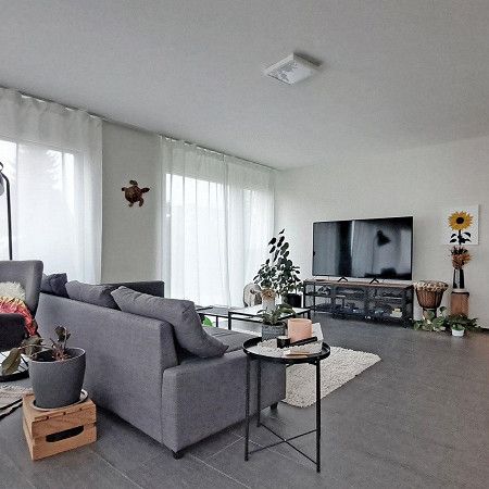 3.5 Zimmer Wohnung - Foto 1