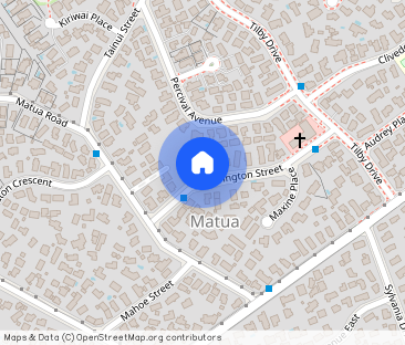 Matua Studio Flat Fully Furnished and Renovated - Photo 1