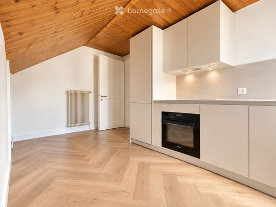 Joli appartement de 2,5 pièces balcon et vue sur le lac - Foto 1