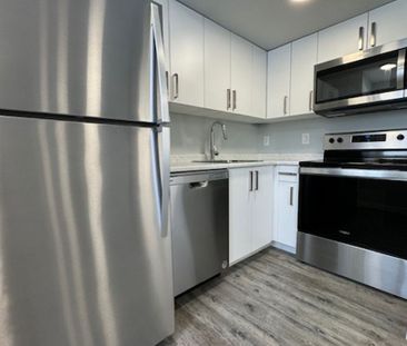 Brand New 2 Bedroom Lower Unit in Evergreen - Photo 1