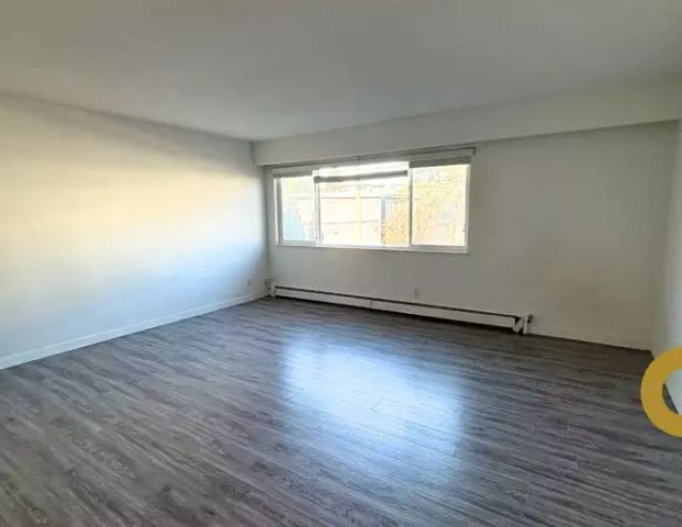 Spacious Studio Near Highgate village on Kingsway!! | 6831 Arcola Street, Burnaby - Photo 1