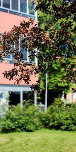 Tvärgatan 5 - Photo 4