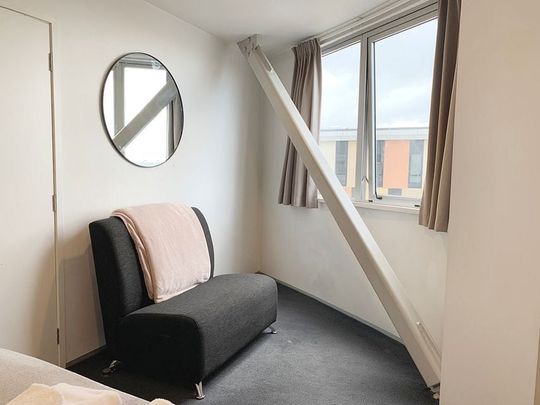 Central Auckland 1BR Fully Furnished - Photo 1