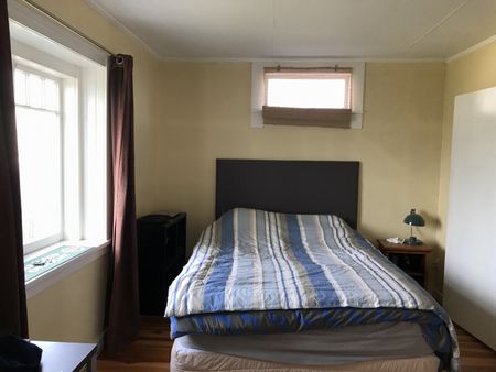 This well-presented three-bedroom, single-bathroom home offers comfortable and convenient living in a sought-after Hamilton location. - Photo 5