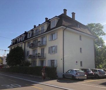 "Tolle Wohnung am Fusse des Uetlibergs" - Photo 1