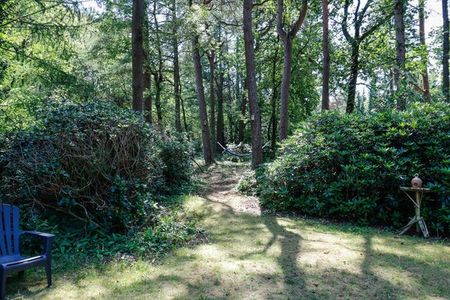 Te huur: Huis Hoge Vuurseweg in Lage Vuursche - Photo 5