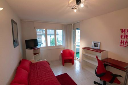 Möblierte 2,5-Zimmer-Wohnung mit eigener Waschküche - Photo 4