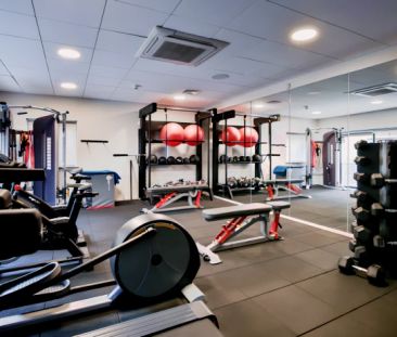 Classic Smaller Studio - Photo 4