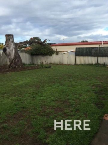 6 Yorston Place, Hamilton Hill WA 6163 - Photo 5