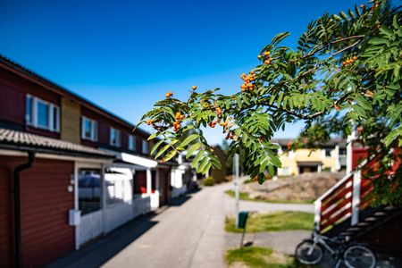 Hagtornsvägen 141 - Foto 2