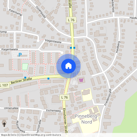 Elmshorner Straße 99, 25421, Pinneberg