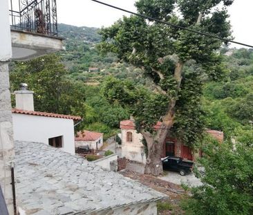Μονοκατοικία για ενοικίαση Στρόφιλος (Αρτέμιδα) - Photo 2