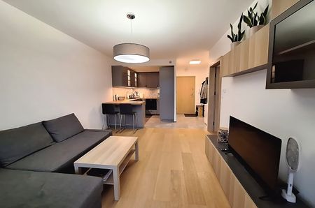 ŚLĄSKIE, żywiecki, Żywiec - Photo 2