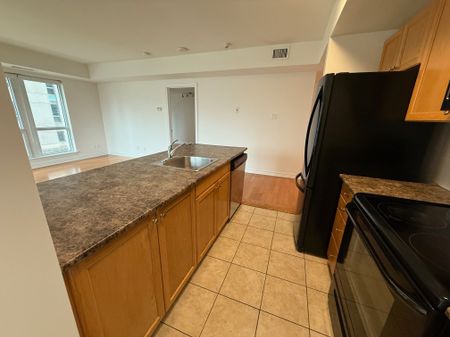 For Lease - 234 RIDEAU Street Unit# 512, Lower Town - Sandy Hill, Ontario - Photo 4