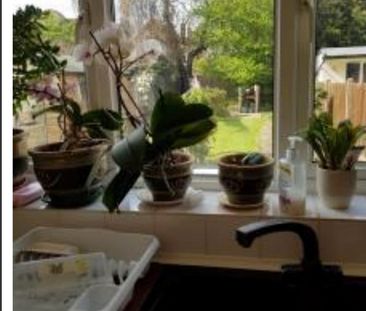 Room in a Shared House, Park Ridings Hornsey London, N8 - Photo 3