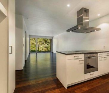 2.5 Zimmer, 55 m², EG - Foto 3