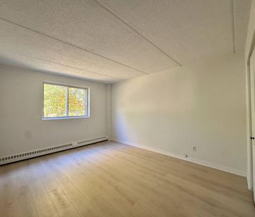 Grand appartement éclairé et chauffé - Photo 4