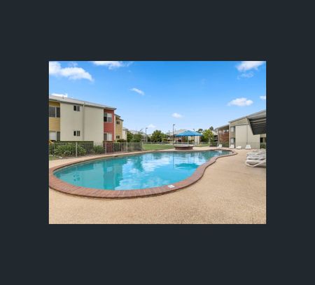 1/51 Edward Street, Alexandra Headland, Qld 4572 - Photo 3