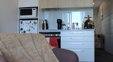 Cosy inner-city living available Jan 2026 - Photo 4