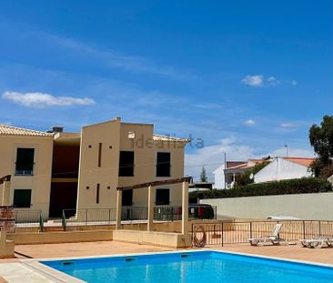 Apartamento em Ferreiras - Photo 6