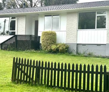 Sensational in Springfield - Photo 3