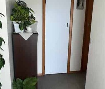 3 Bedrooms on Cobham - Photo 5