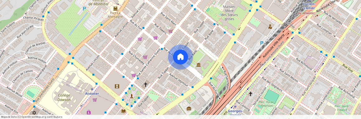 1241 Du Fort Street, Ville-Marie, Ville-Marie, Ile de Montréal, H3H 2B8