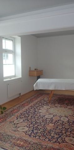 Helle Mietwohnung in Topzustand Nähe Donau-Uni, DPU, KLPU, FH mit Parkmöglichkeit - Photo 1