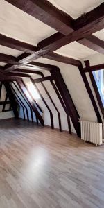 Location Appartement 1 pièce 24m² TOURS 37000 - Photo 3