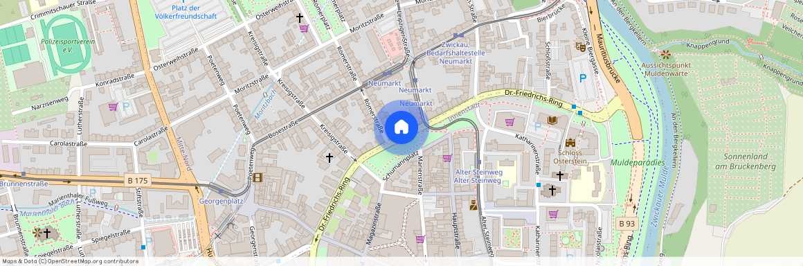 Dr.-Friedrichs-Ring 41, 08056 Sachsen - Zwickau