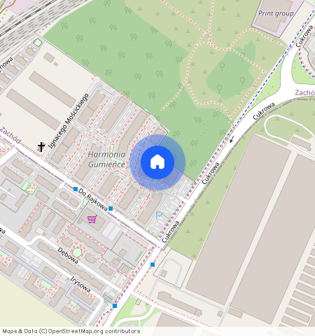 ul. prof. Władysława Grabskiego, Szczecin